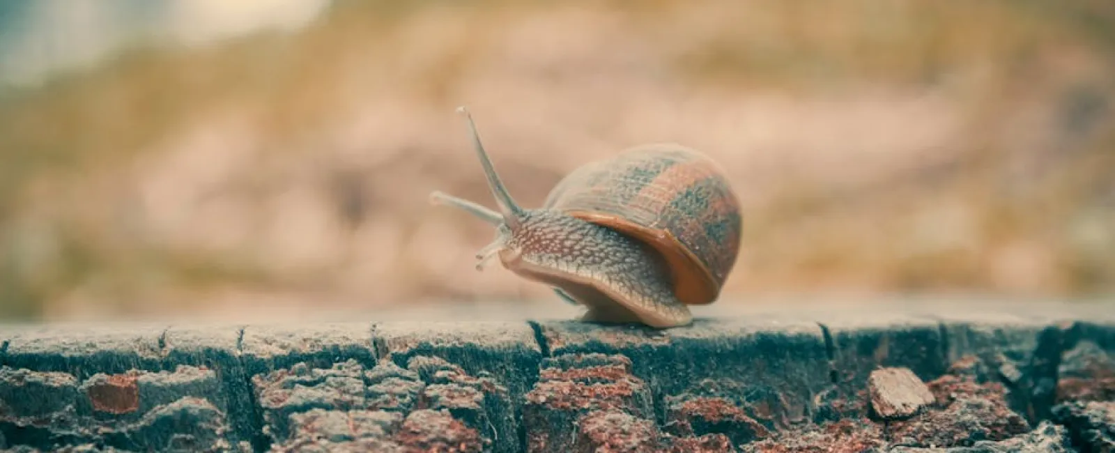 Why Slow IT Response Times are Costing Your Business More Than You Think